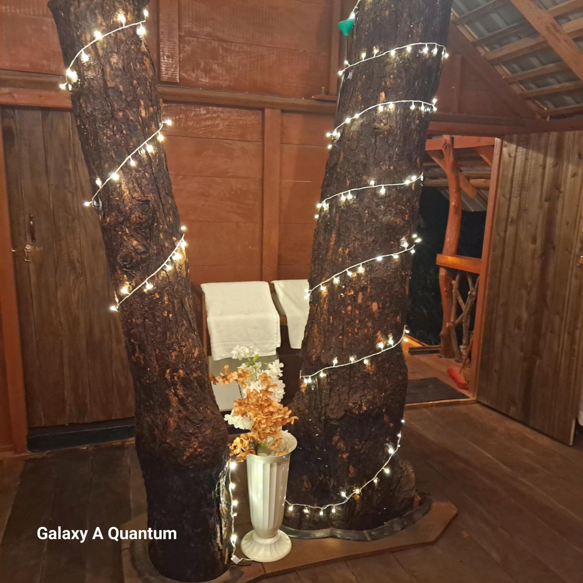Green Leaf Tree House Dambulla Esterno foto