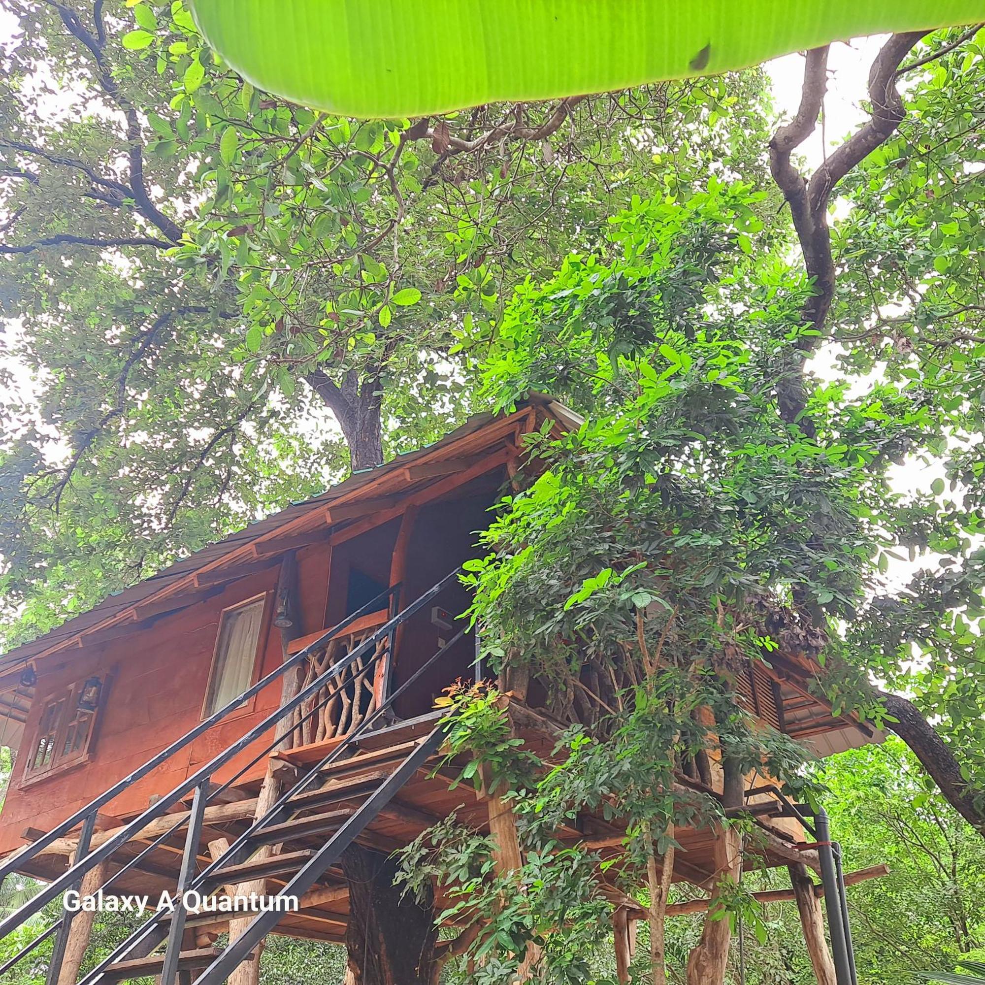Green Leaf Tree House Dambulla Esterno foto