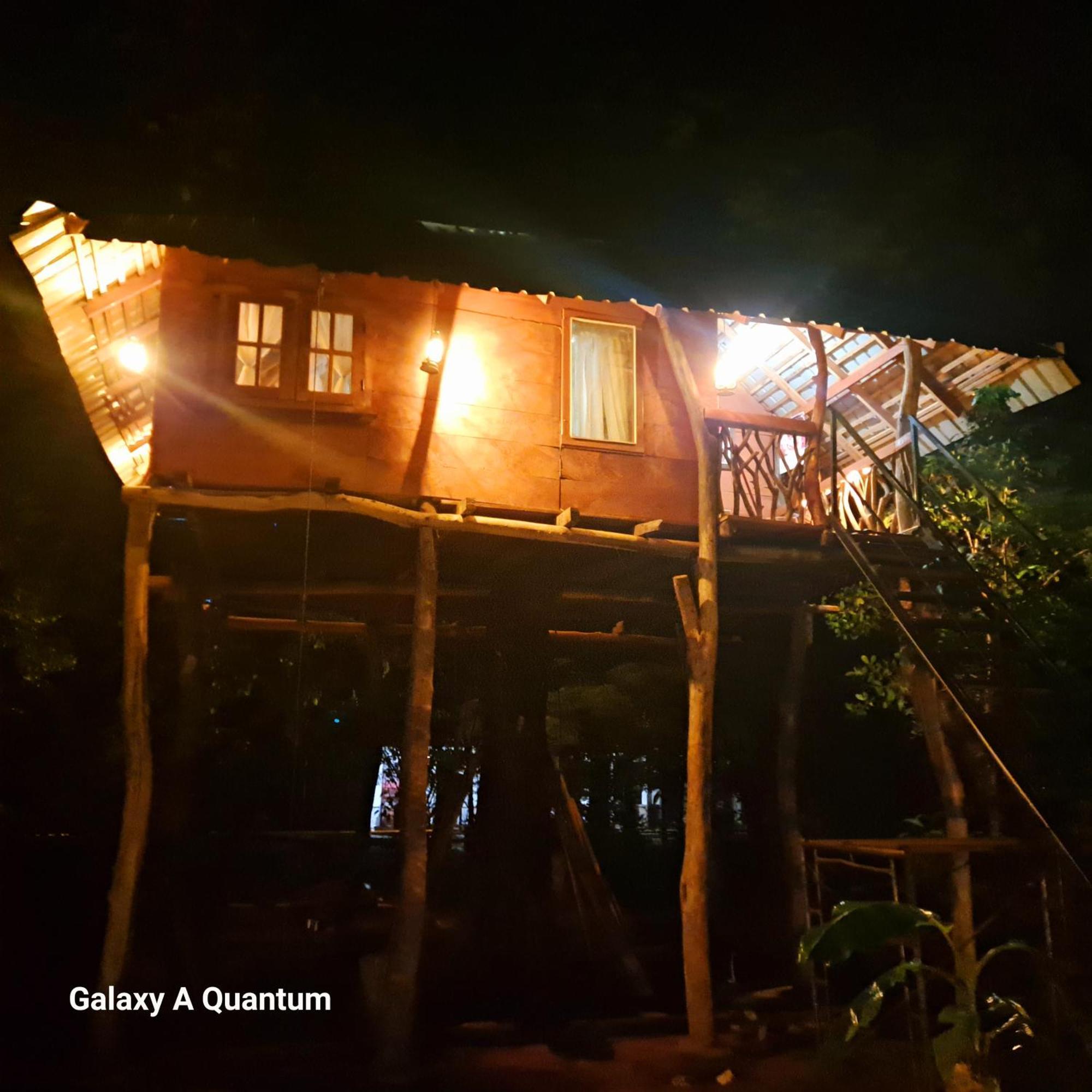 Green Leaf Tree House Dambulla Esterno foto