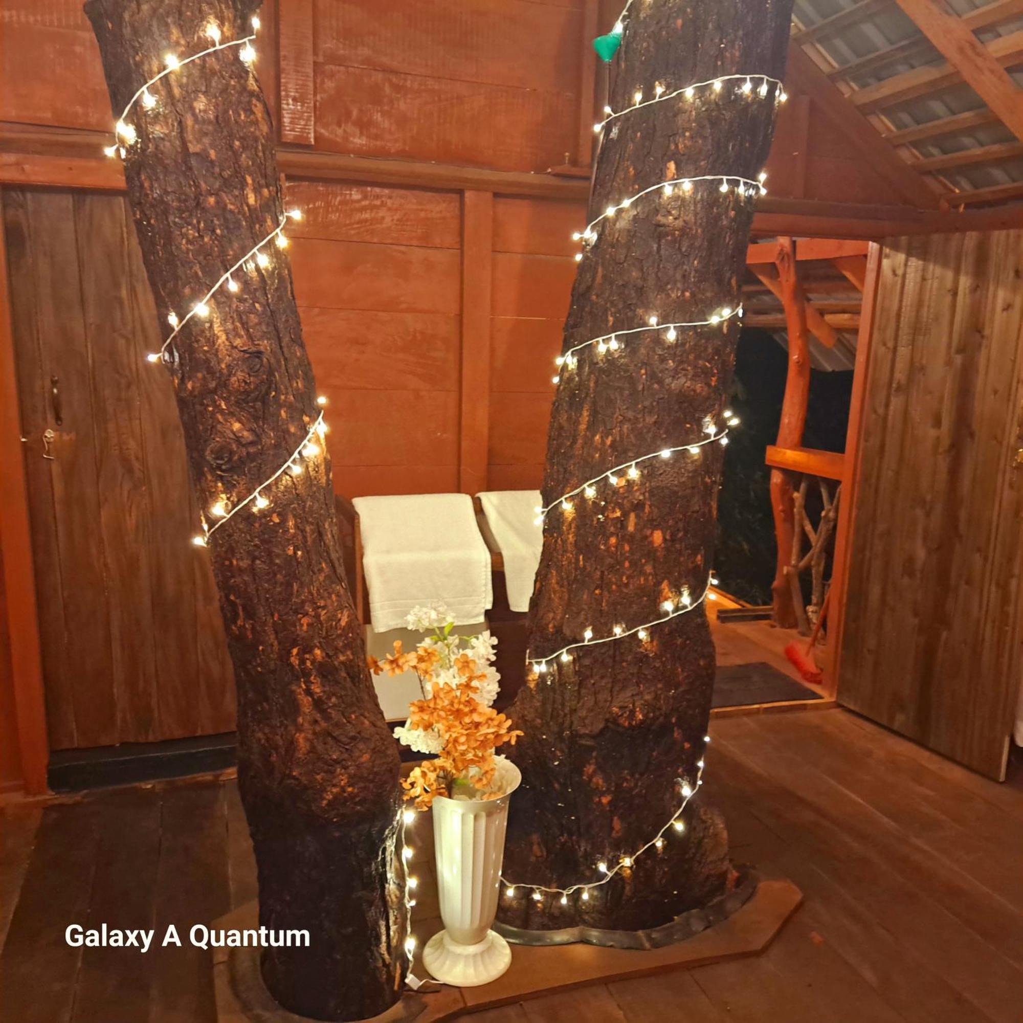 Green Leaf Tree House Dambulla Esterno foto